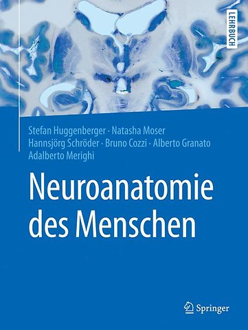 Neuroanatomie des Menschen