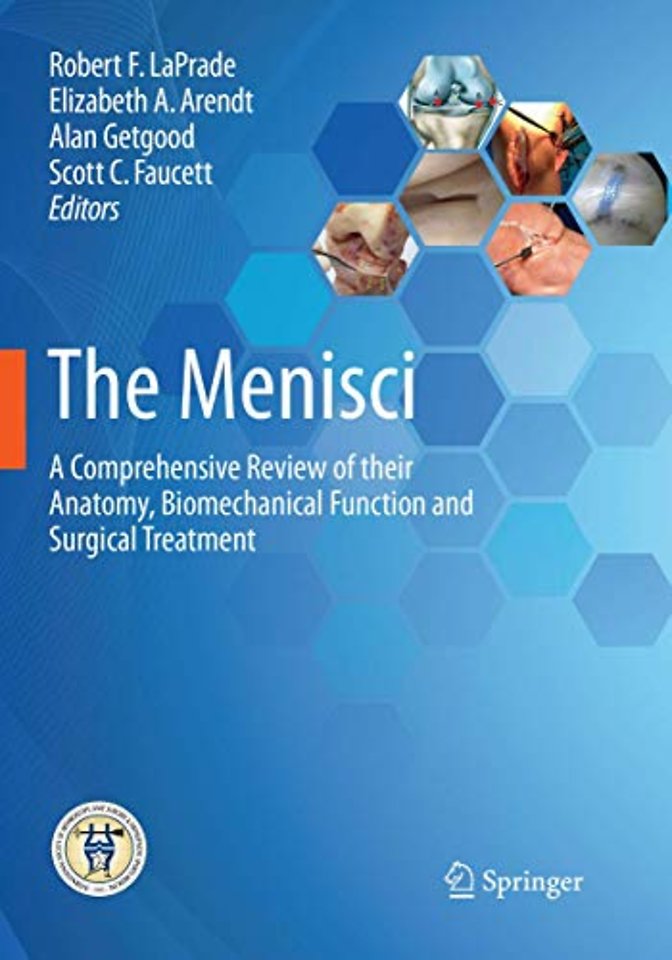 The Menisci