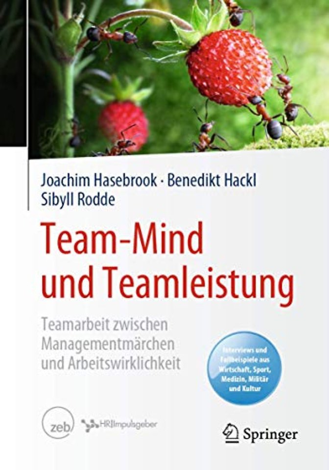 Team-Mind und Teamleistung