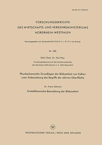 Physikochemische Grundlagen der Bildsamkeit von Kalken unter Einbeziehung des Begriffs der aktiven Oberfläche