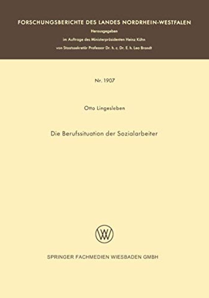 Die Berufssituation der Sozialarbeiter