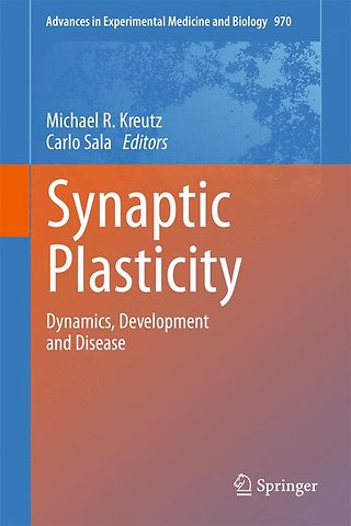 Synaptic Plasticity