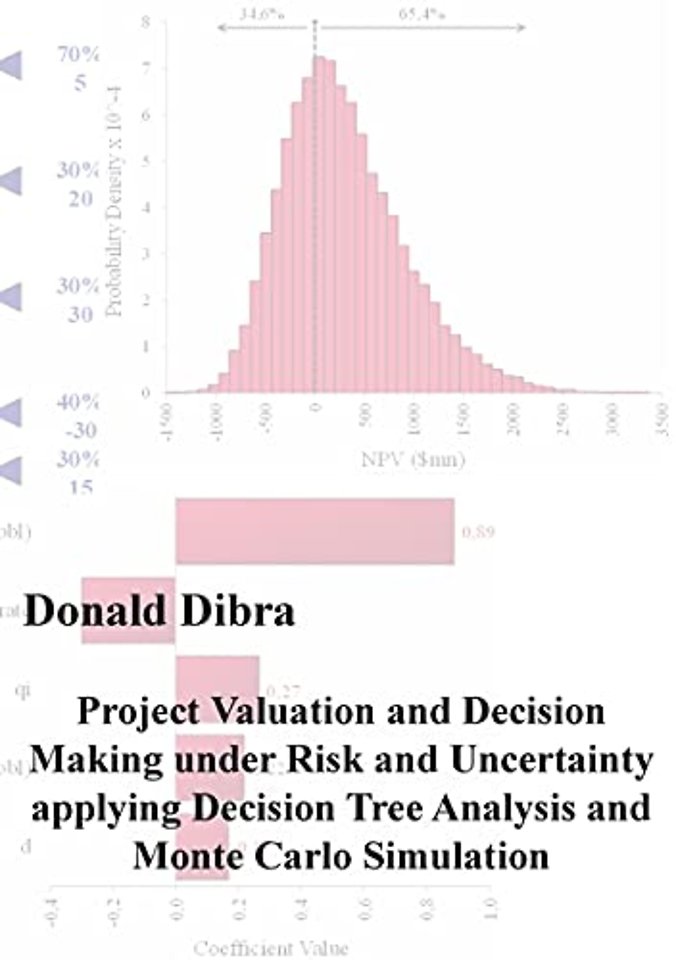 Project Valuation and Decision Making under Risk and Uncertainty applying Decision Tree Analysis and Monte Carlo Simulation