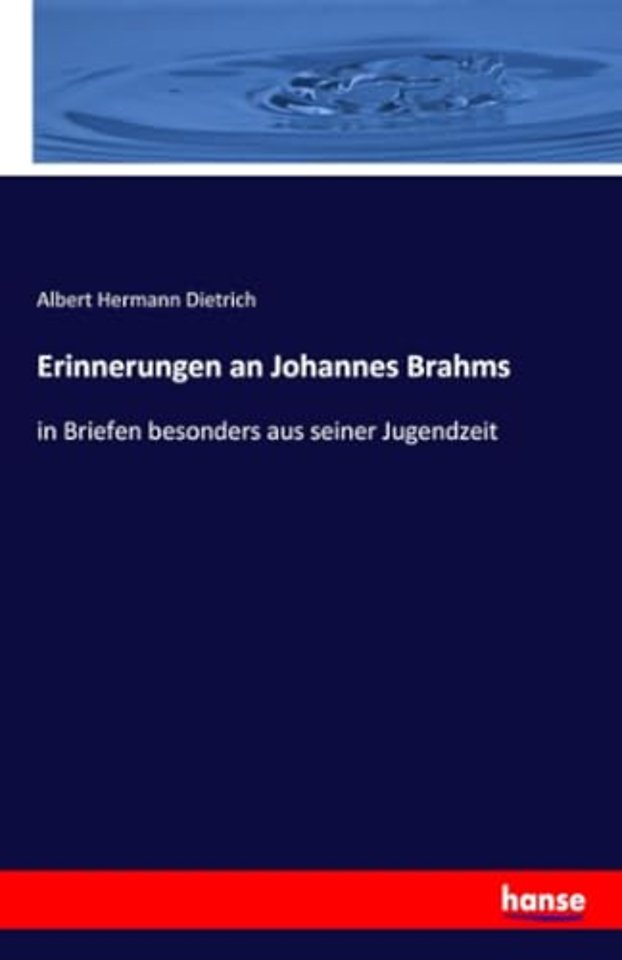 Erinnerungen an Johannes Brahms