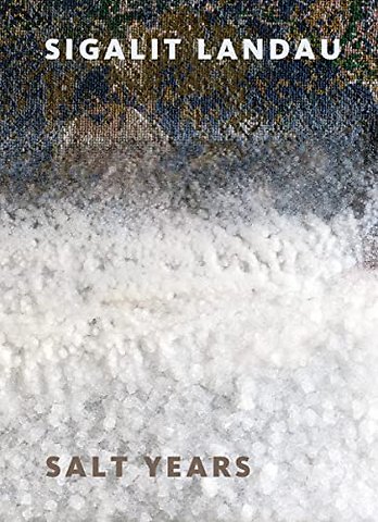 Sigalit Landau: Salt Years