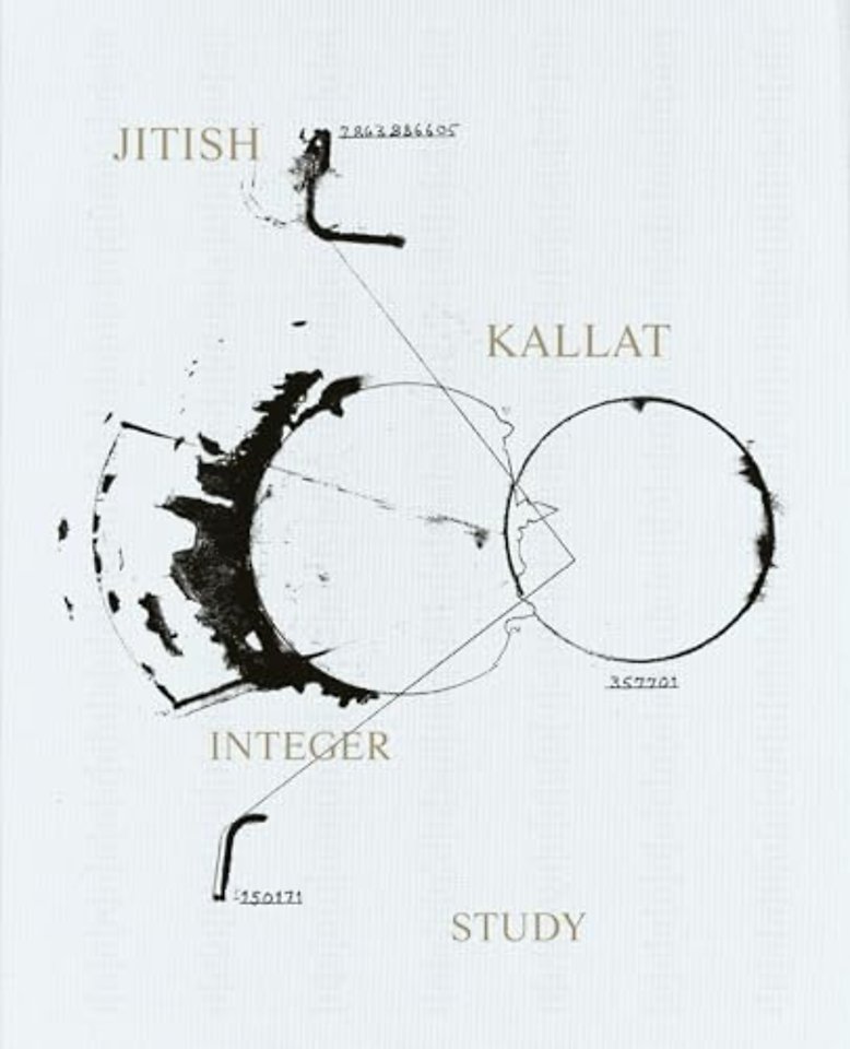 Jitish Kallat - Integer Study