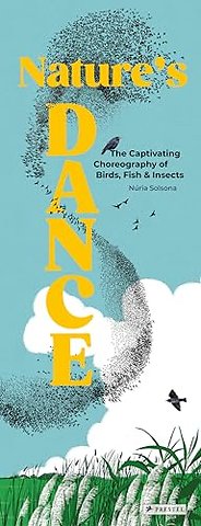Nature′s Dance – The Captivating Choreography of Birds, Fish & Insects