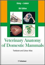 Veterinary Anatomy of Domestic Mammals
