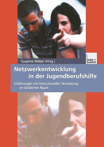 Netzwerkentwicklung in der Jugendberufshilfe