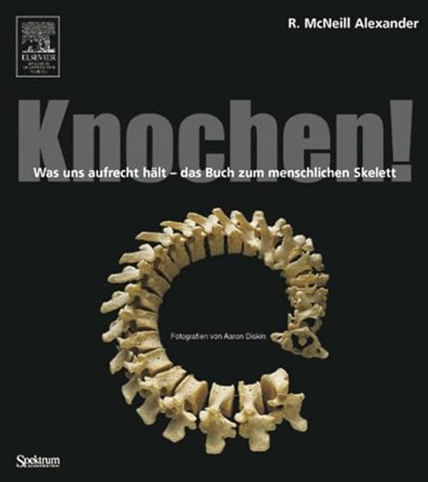 Knochen!