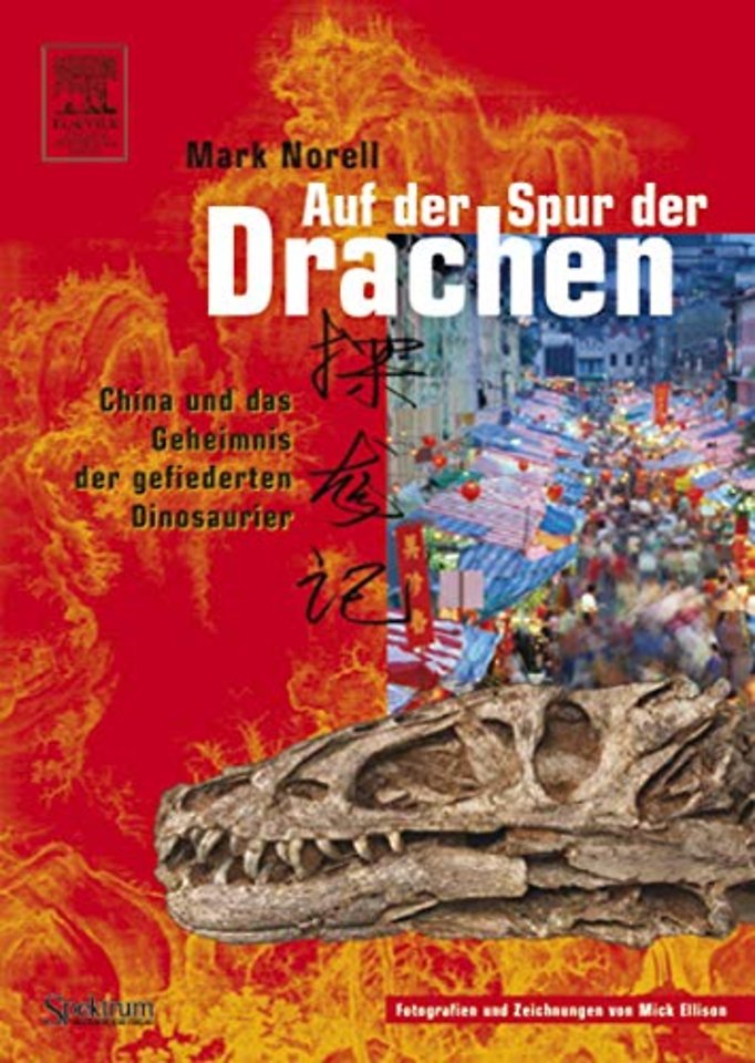 Auf der Spur der Drachen