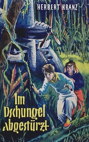 Im Dschungel abgesturzt