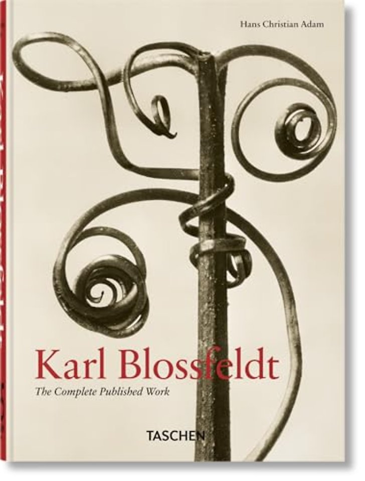 Karl Blossfeldt