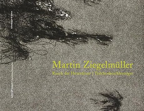 Martin Ziegelmuller