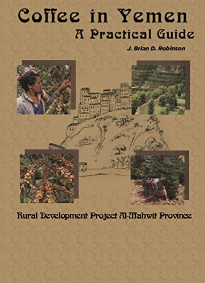 Coffee in Yemen – A Practical Guide