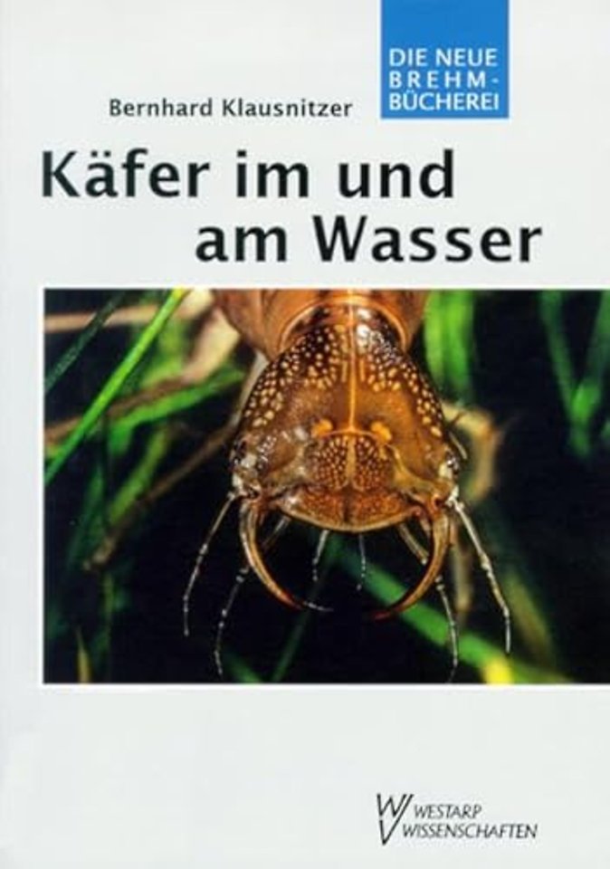 Käfer im und am Wasser