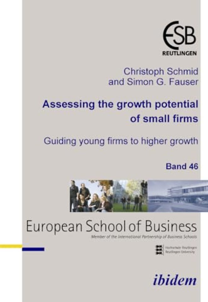 Assessing the growth potential of small firms