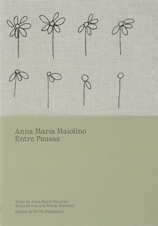 Anna Maria Maiolino: Entre Pausas