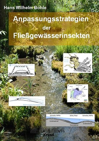 Anpassungsstrategien der Fließgewässerinsekten