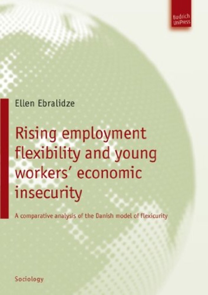 Rising employment flexibility and young workers' economic insecurity