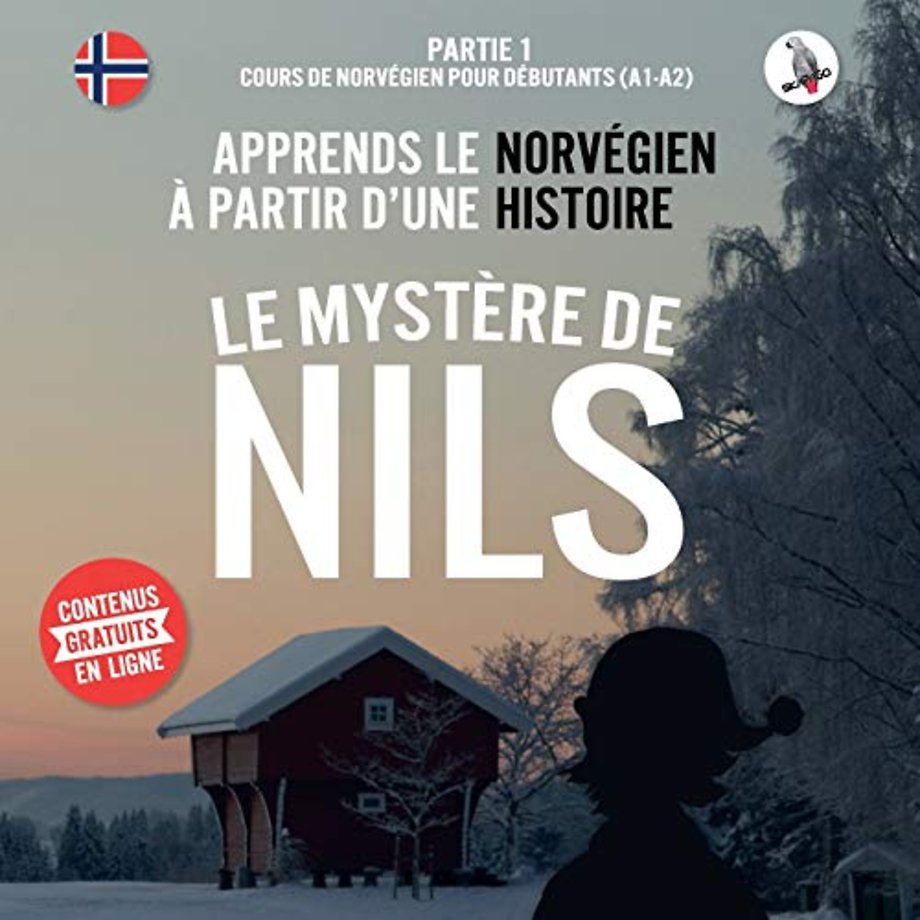 Le mystere de Nils. Partie 1 - Cours de norvegien pour debutants (A1/A2). Apprends le norvegien a partir d'une histoire.