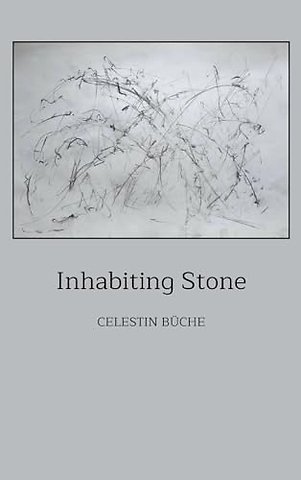 Inhabiting Stone