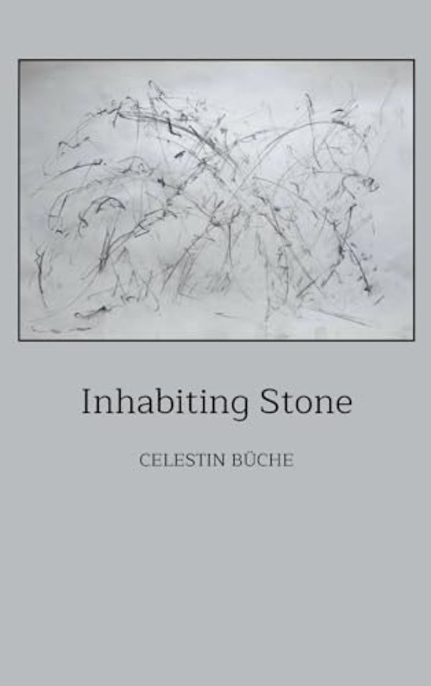 Inhabiting Stone