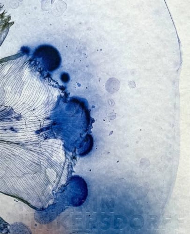 Kathrin Linkerdorff Works