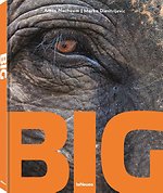 Big