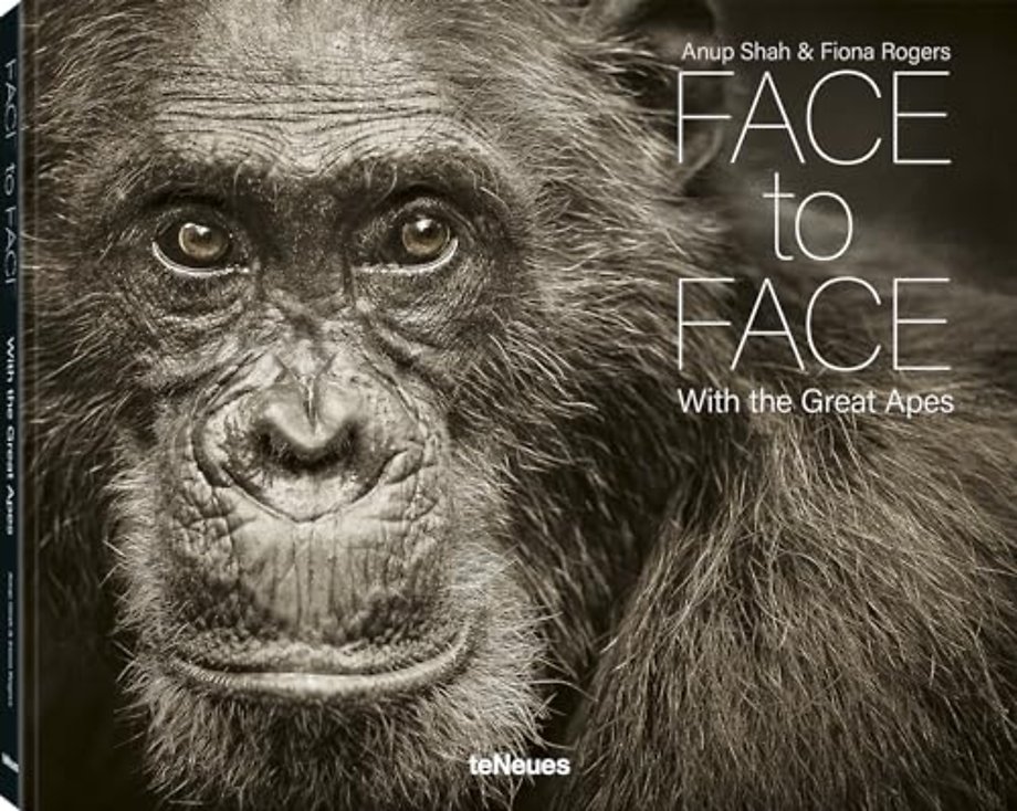 Face to Face