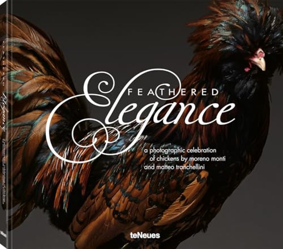 Feathered Elegance
