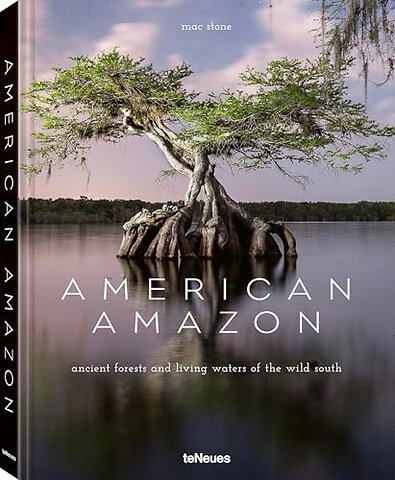 American Amazon