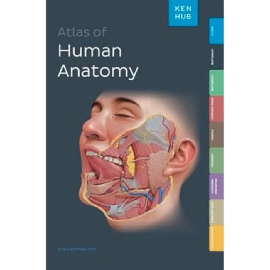 Kenhub Atlas of Human Anatomy