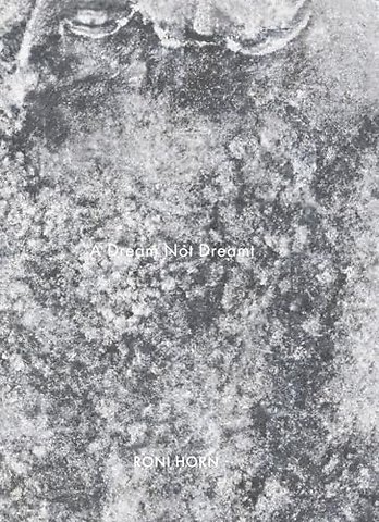 Roni Horn: A Dream Not Dreamt