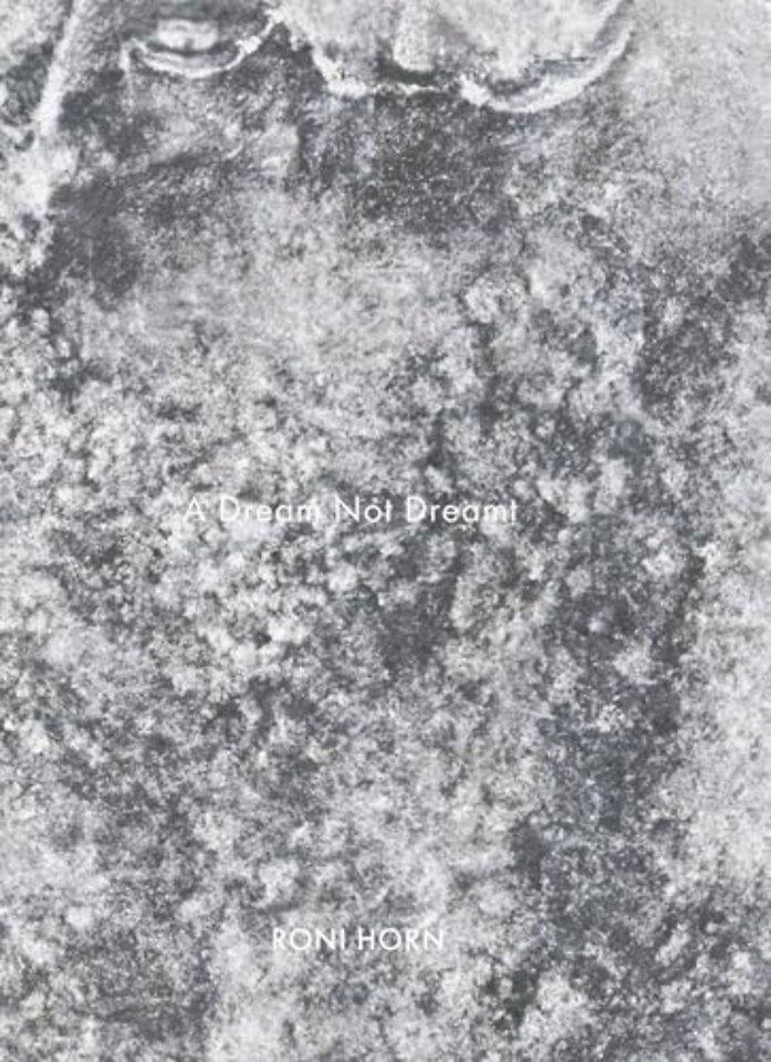 Roni Horn: A Dream Not Dreamt