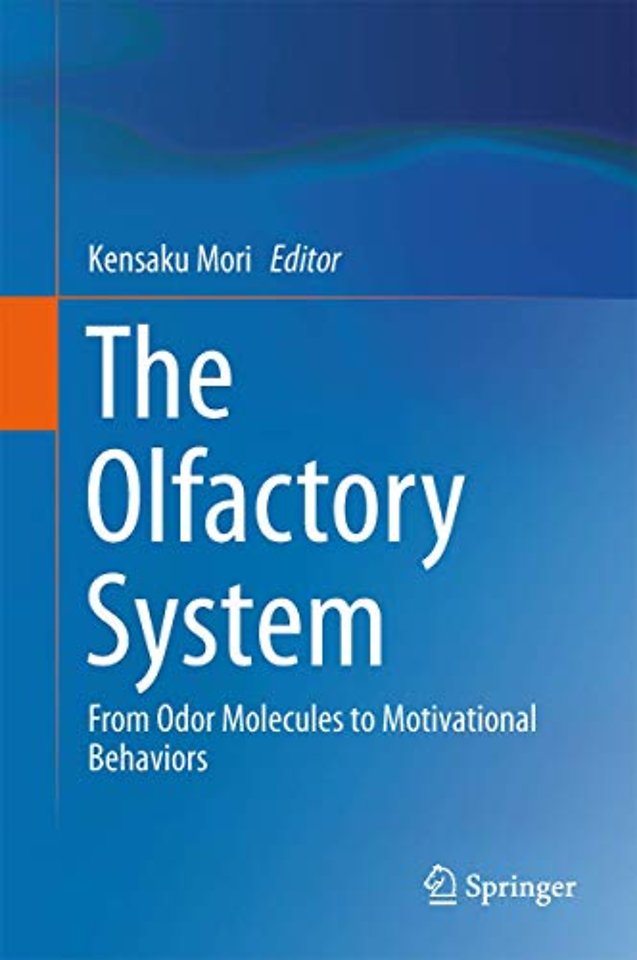 The Olfactory System