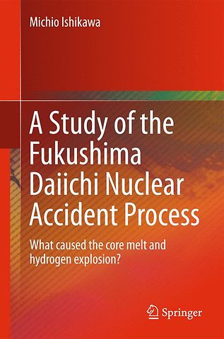 A Study of the Fukushima Daiichi Nuclear Accident Process