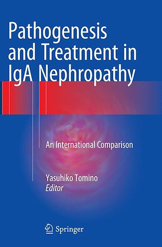 Pathogenesis and Treatment in IgA Nephropathy