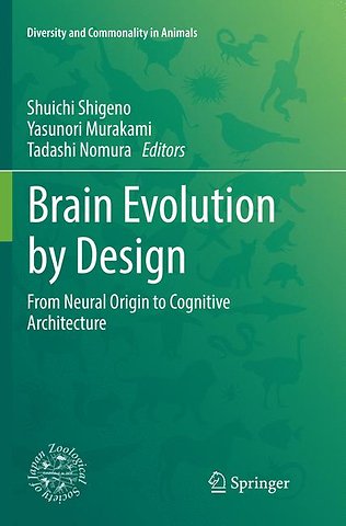 Brain Evolution by Design