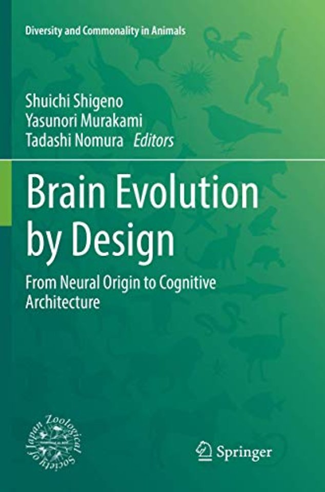 Brain Evolution by Design