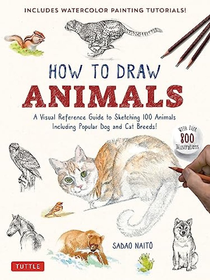 How to Draw Animals