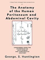 The Anatomy of the Human Peritoneum and Abdominal Cavity