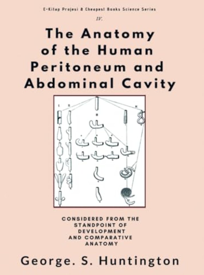 The Anatomy of the Human Peritoneum and Abdominal Cavity