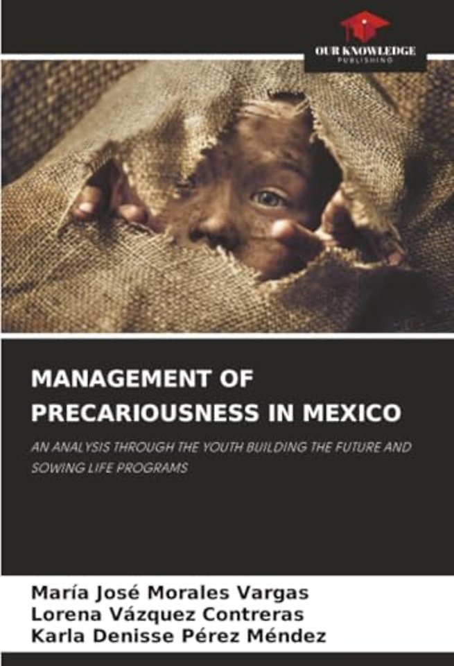 Management of Precariousness in Mexico