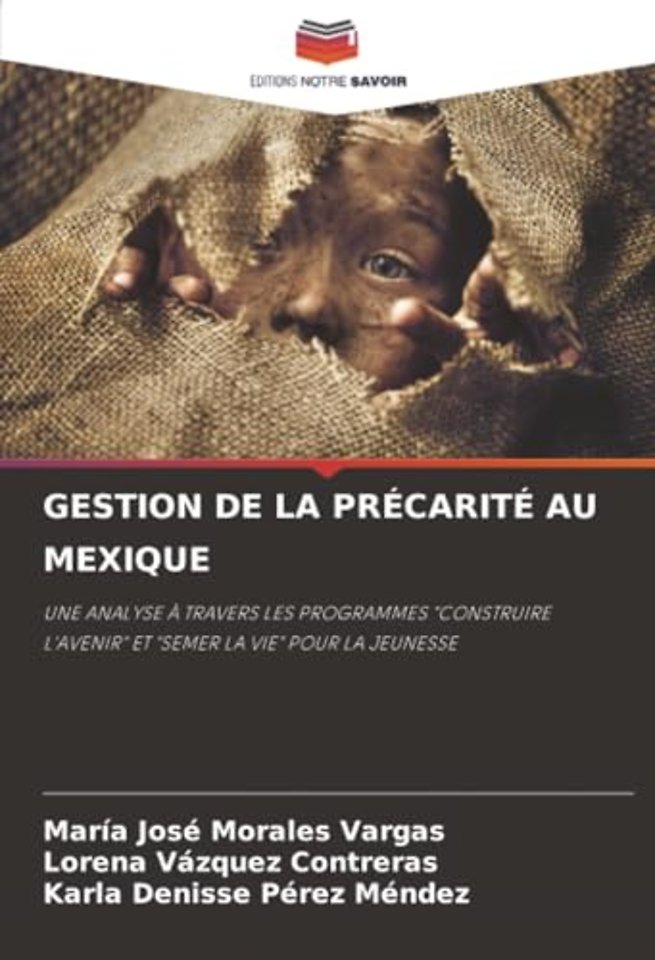 Gestion de la Precarite Au Mexique
