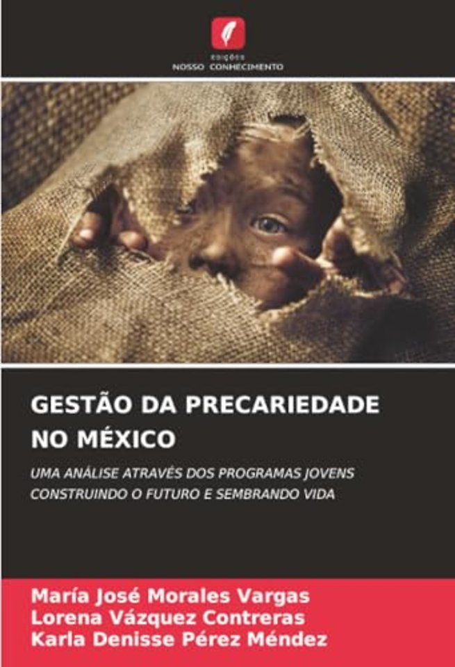 Gestao Da Precariedade No Mexico