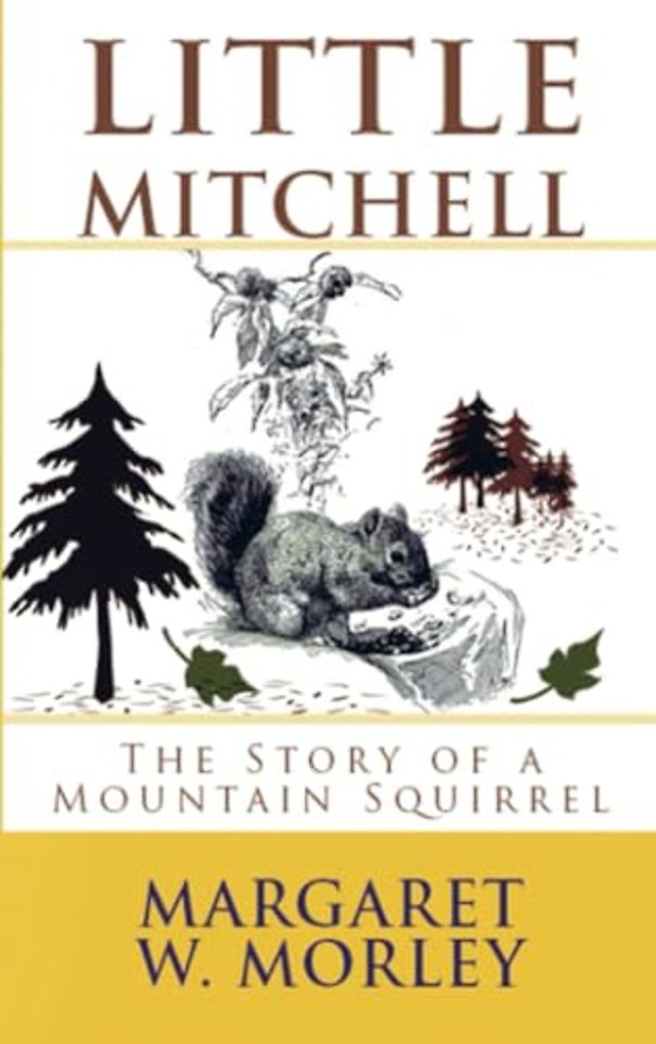 Little Mitchell