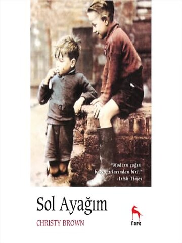 Sol Ayagim
