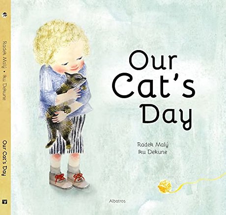 Our Cat's Day