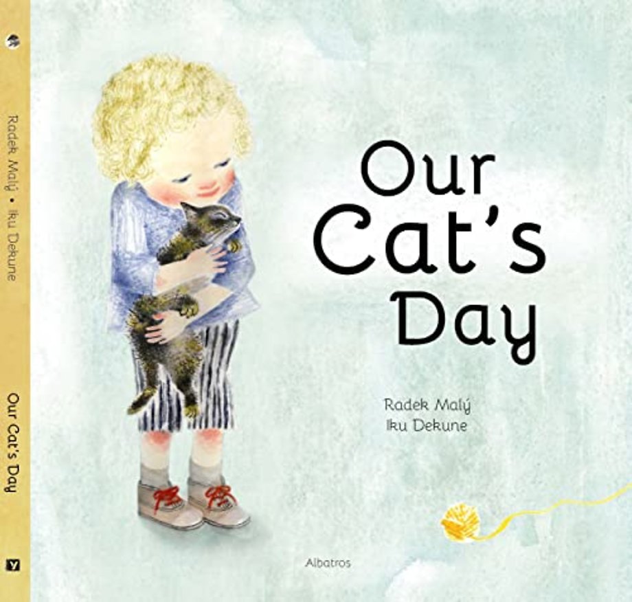Our Cat's Day